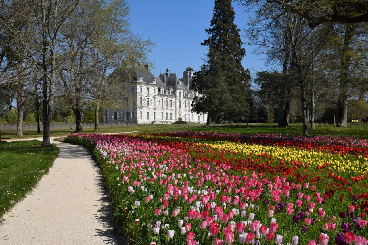 Logis Hotel Du Cygne Bracieux Zewnętrze zdjęcie